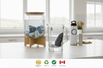 Set of water filtration products on a kitchen counter with visible brand logos.